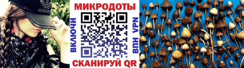 OMG ONION  Обоянь  Галлюциногенные грибы MAGIC MUSHROOMS 